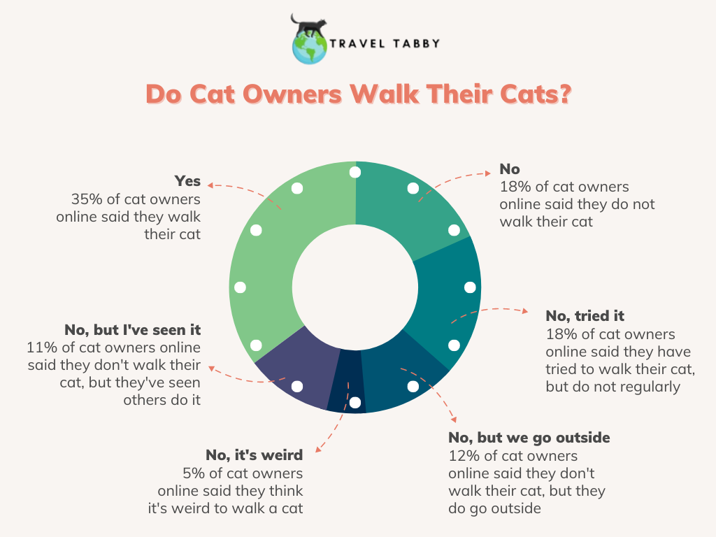 Do Cat Owners Walk Their Cats? 35% say yes, 65% say no