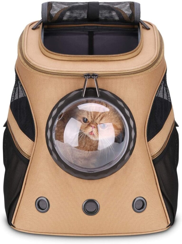 Lollimeow large cat backpack from Amazon