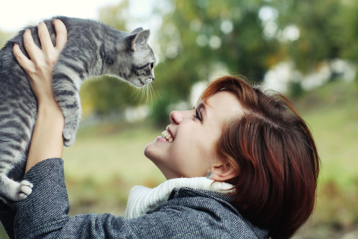 10 Fun Places To Take Your Cat This Weekend