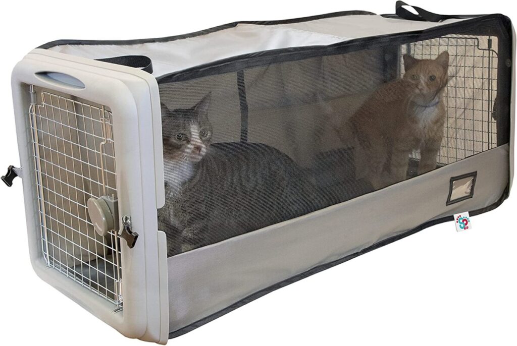 Largest Single Carrier for Two Cats