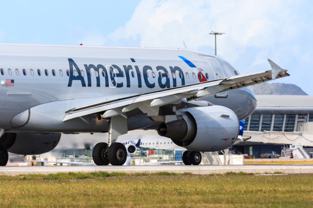 American Airlines Pet Policy: How To Fly With a Cat - Travel Tabby