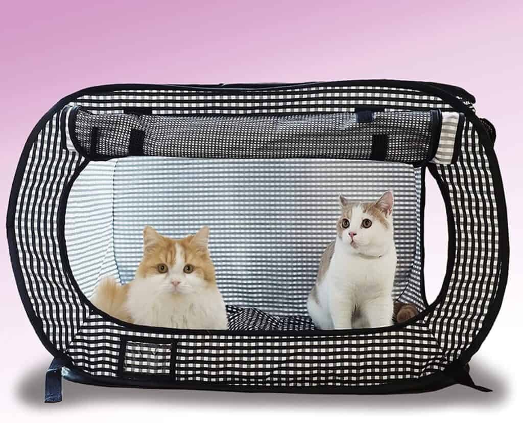 double cat crate