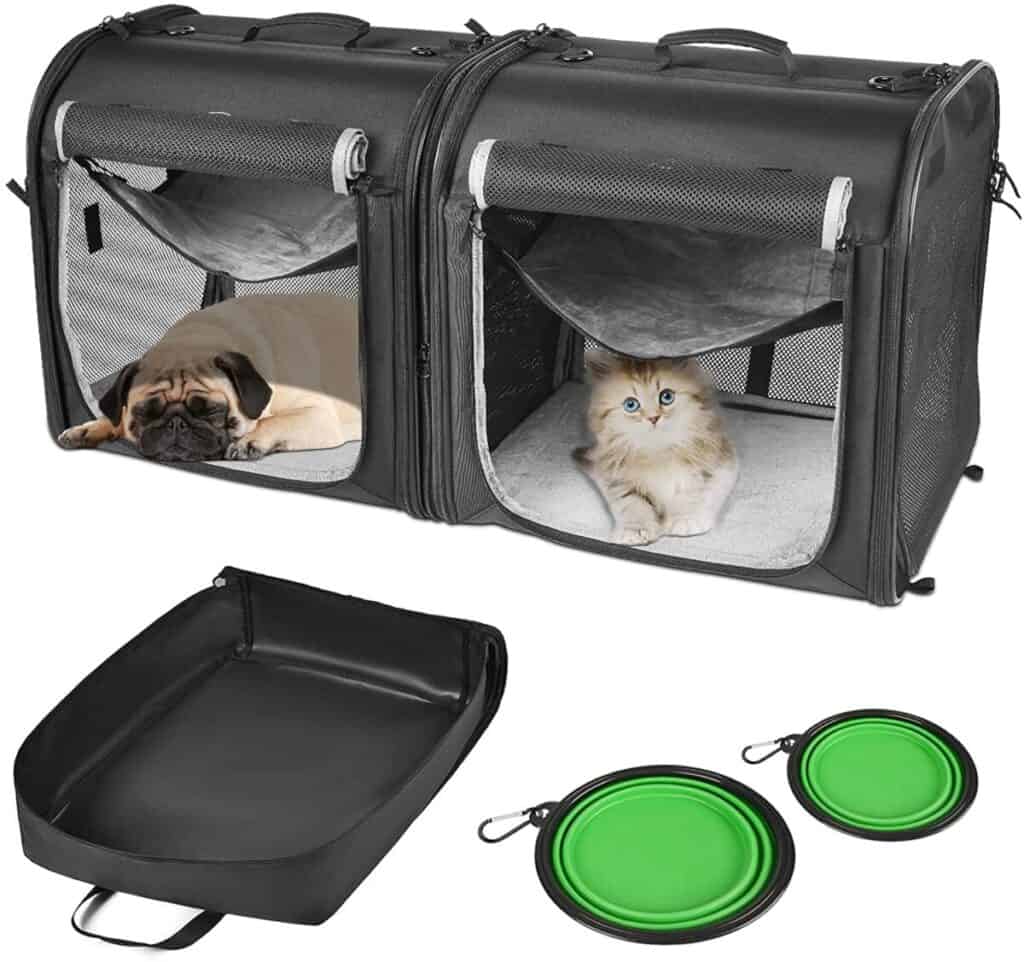 Best Travel Set With a Cat Carrier for Two Cats