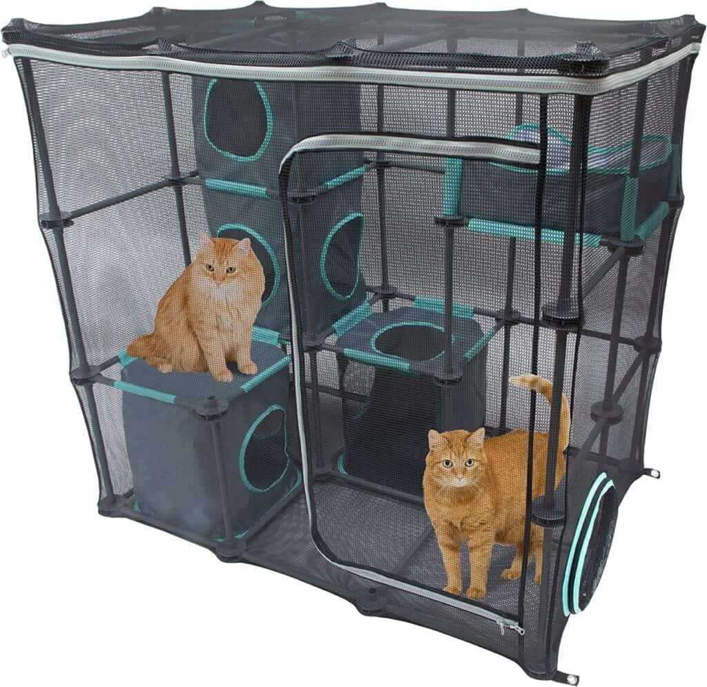 Largest Cat Tent / Best Cat Tent for Multiple Cats: Kitty City Claw Indoor and Outdoor Mega Kit