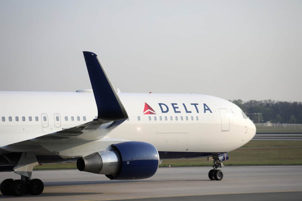 Delta Airlines Pet Policy: Flying With a Cat