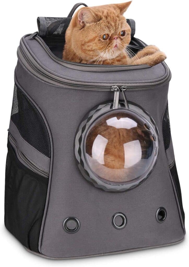 Lollimeow Large Cat Backpack